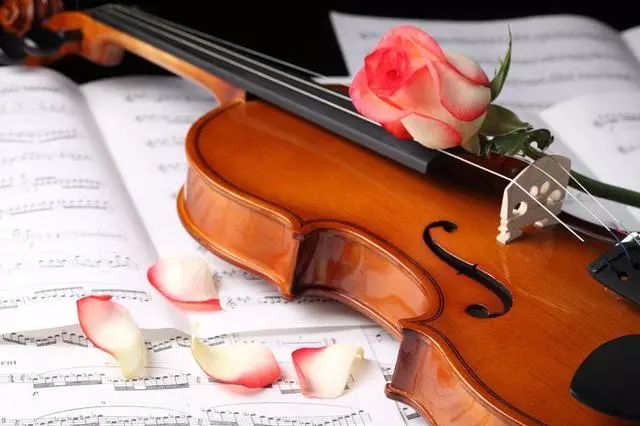 小提琴的学习：拉的都对,为啥不好听?老师说的这5点,全中了!!_慧禾国际艺术教育
